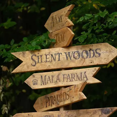 Silent Woods Visoko Feriehus *
