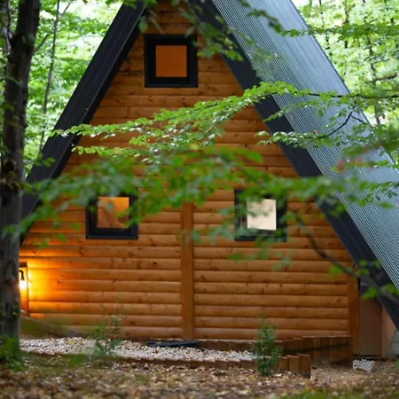 Silent Woods Visoko Holiday home