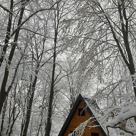 Silent Woods Visoko *