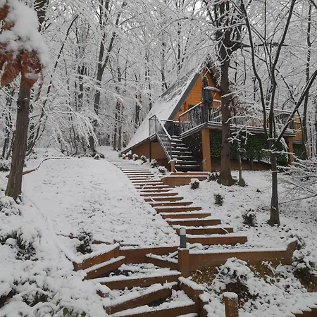 Silent Woods Visoko *