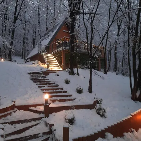 Feriehus Silent Woods Visoko