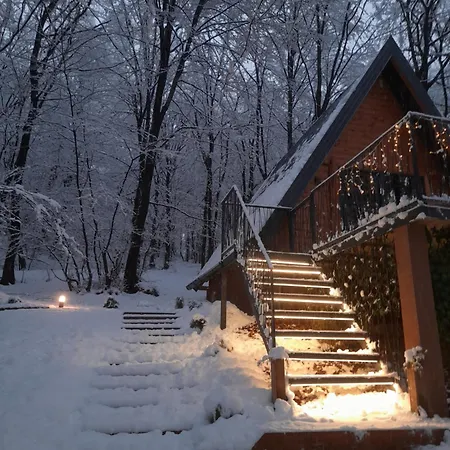 Silent Woods Visoko Biskupici
